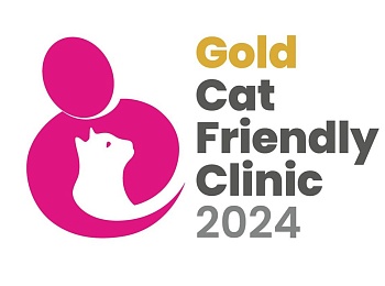 Сертификация и золотой статус Cat Friendly клиники